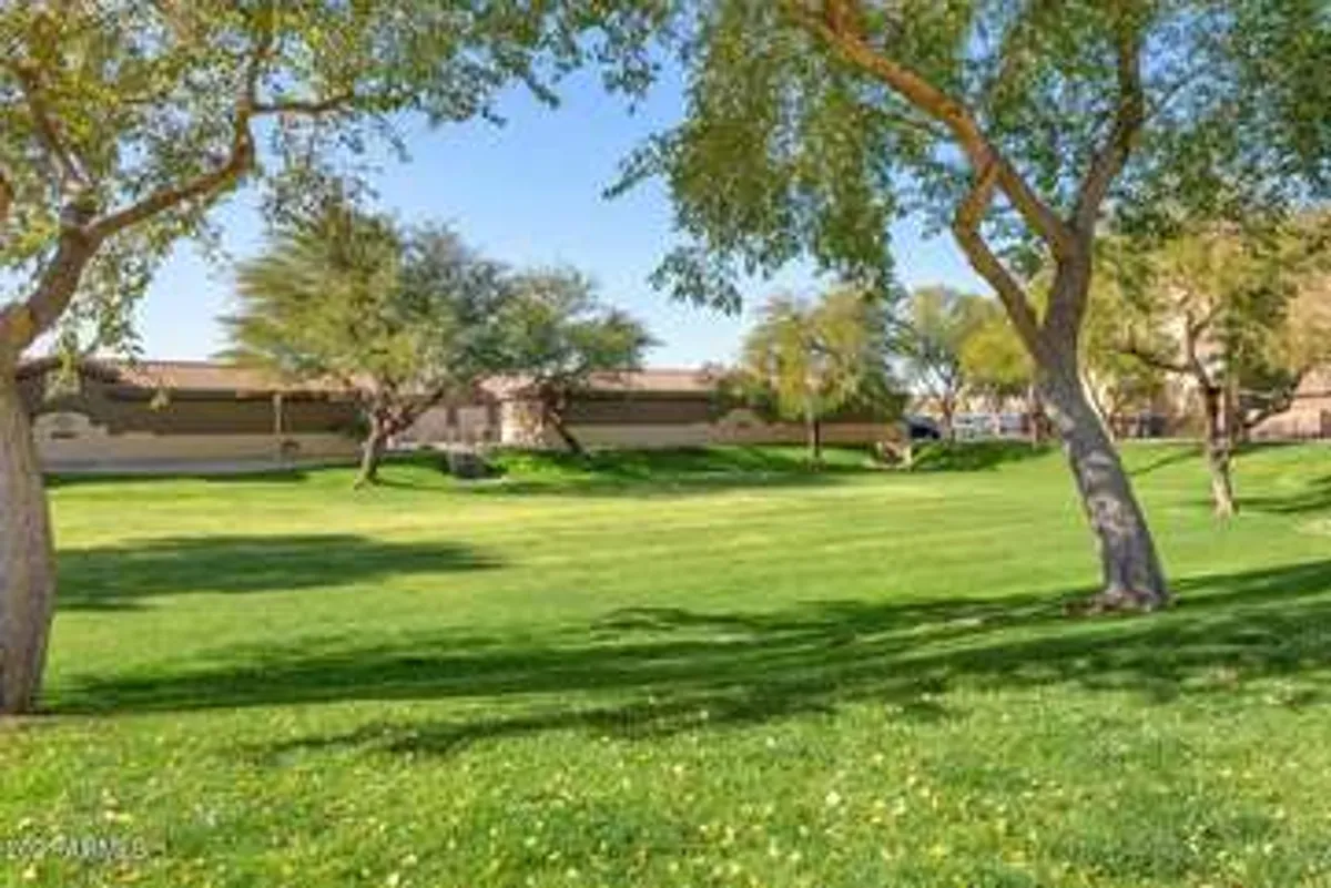 This exterior shot features a lush green lawn dotted with mature trees under a clear blue Arizona sky. The scene is tranquil and sun-filled, evoking a sense of relaxation and leisure, and suggesting opportunities for picnicking, outdoor games, or simply enjoying the warmth of the desert climate.